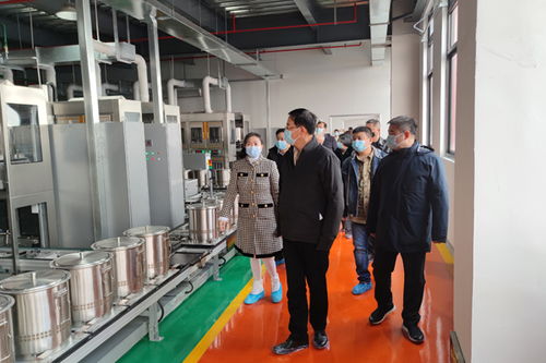 张恩迪率队赴同祺医药科技走访调研