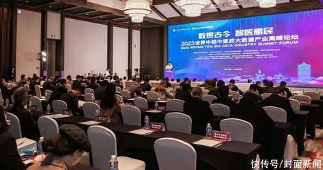 现代科技为中医发展赋能 2023年世界中联中医药大数据产业高峰论坛在渝举行