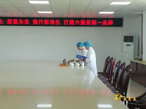 广西速溶六堡茶工程技术研究中心通过自治区科技厅验收