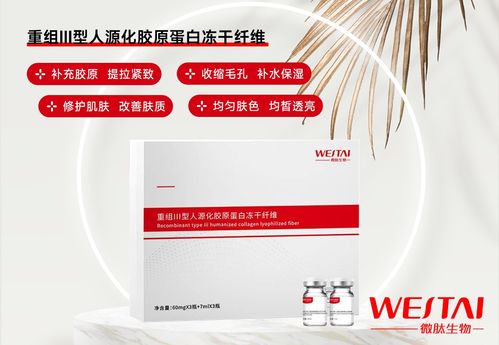 医用重组iii型人源胶原蛋白冻干纤维 高纯度 低内毒 源头工厂oem