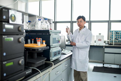 小微球背后的 大突围