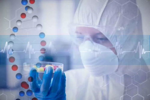 案例春秋 科技公司研发类项目奖金管理办法