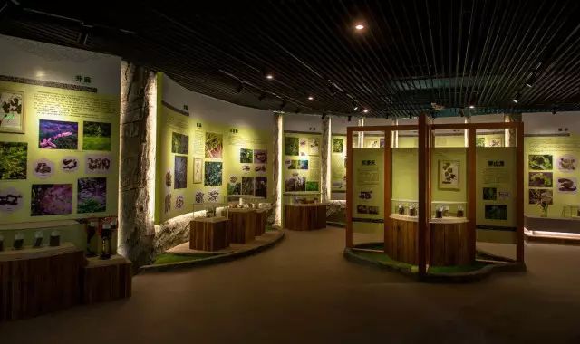 奇妙博物馆丨长春有个中医药博物馆,你知道吗?