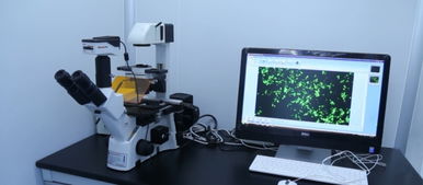 广州辉园苑医药科技