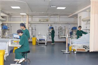 我们的icu 我们的家