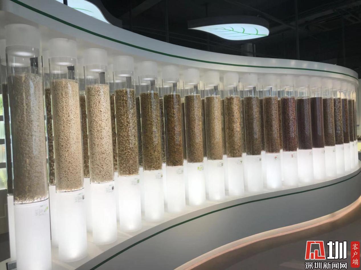 而今迈步从头越！国家药监局两重点实验室落户深圳，医药科技迎来新机遇