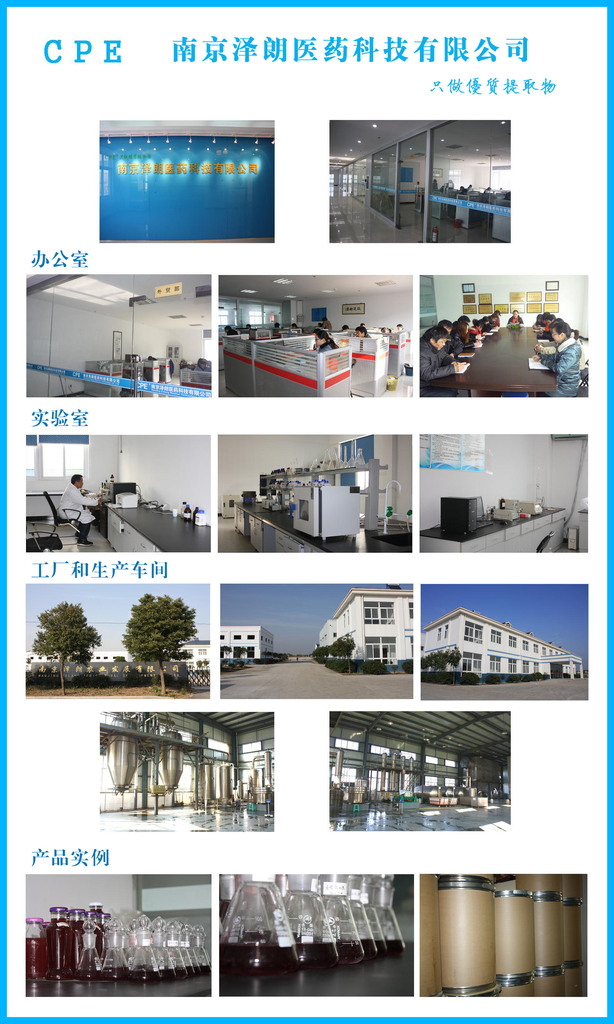 决明子提取物 医药科技工厂中的高效制备与应用