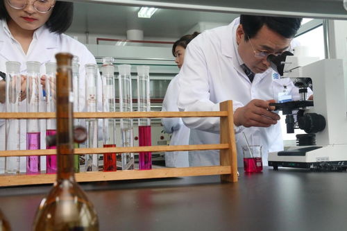 好药惠万家 沃华心可舒片转入医保甲类目录，医药科技点亮健康未来